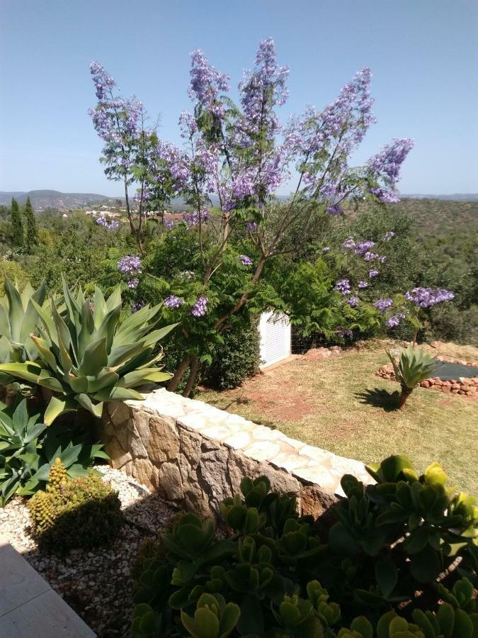Casa Do Monte Villa Silves Bagian luar foto